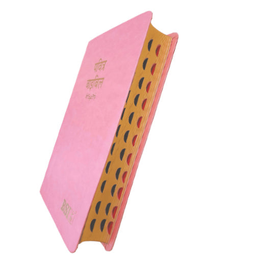 Hindi Bible | with Thumb Index | Pink Color Bound | Amity Edition | Golden Edge