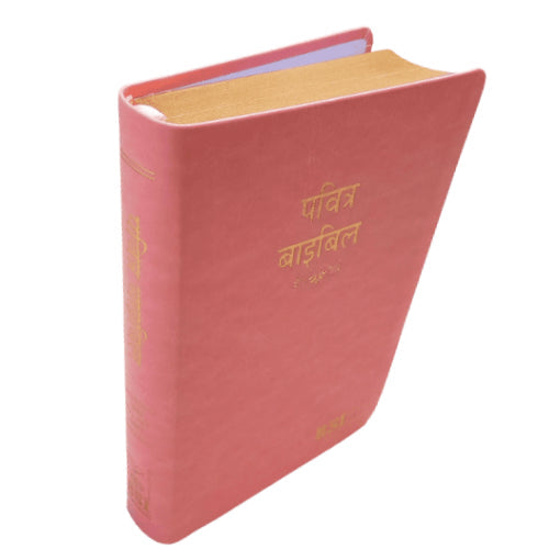 Hindi Bible | with Thumb Index | Pink Color Bound | Amity Edition | Golden Edge