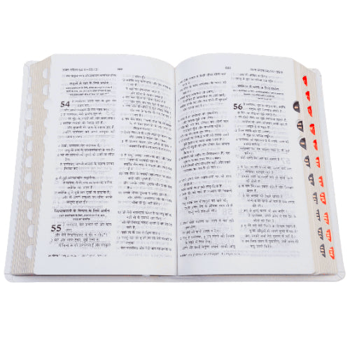 The Holy Hindi – 2023 PU Amity Index Bible | Best Index Hindi Bible | Hindi – O.V. PU Series (Amity) – White