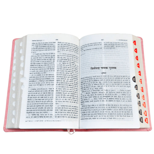 Hindi Bible | with Thumb Index | Pink Color Bound | Amity Edition | Golden Edge