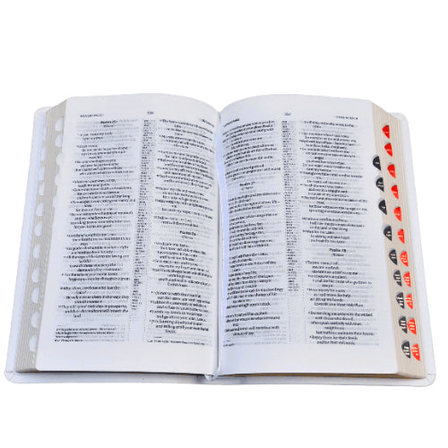 The Holy Hindi – 2023 PU Amity Index Bible | Best Index Hindi Bible | Hindi – O.V. PU Series (Amity) – White