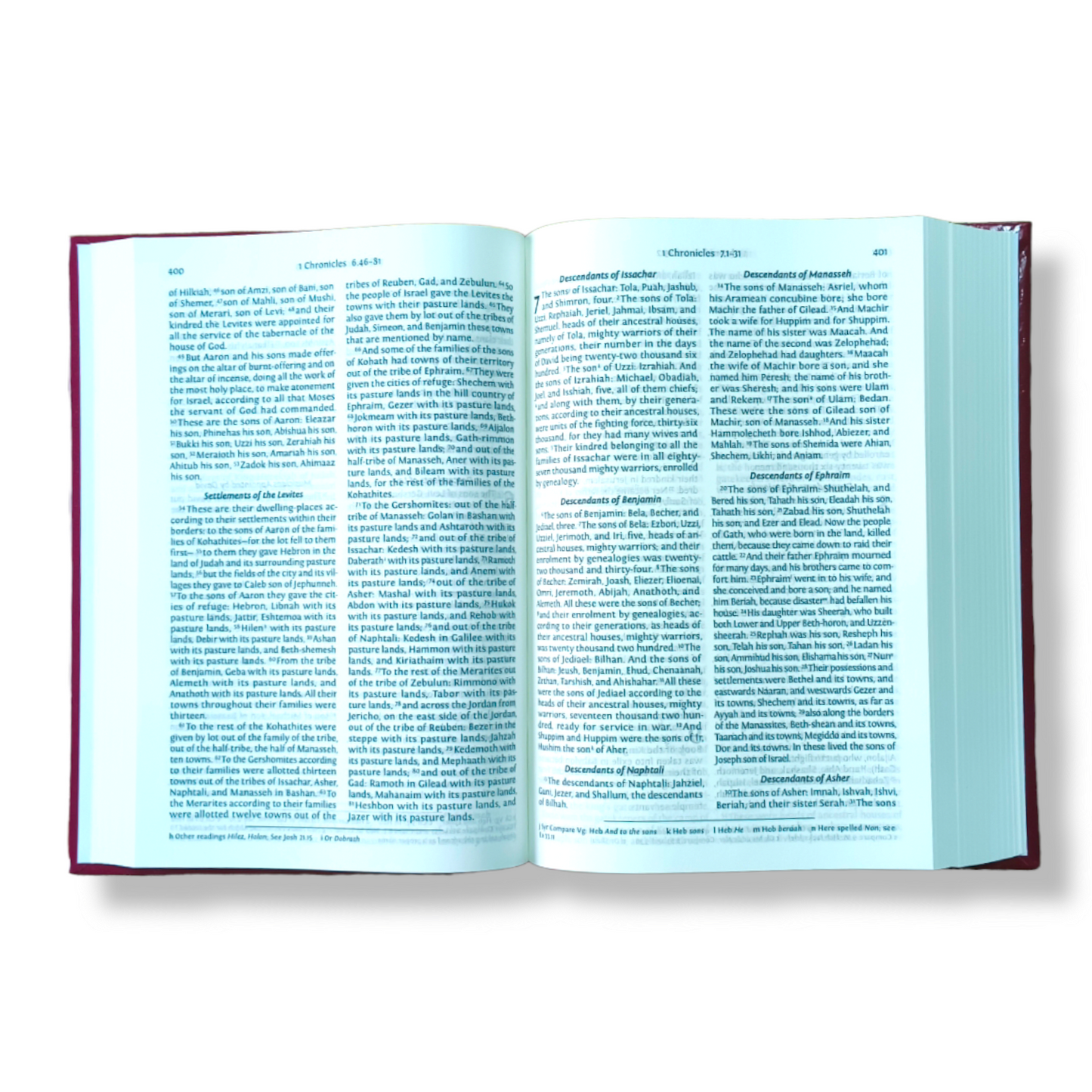 The Holy NRSV Bible In English | Large Printed Edition Bible | New Edition