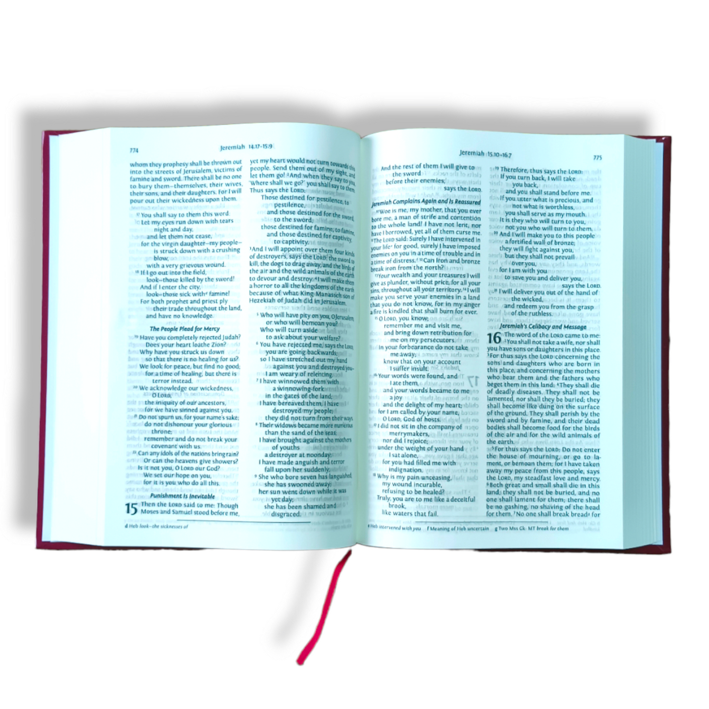 The Holy NRSV Bible In English | Large Printed Edition Bible | New Edition