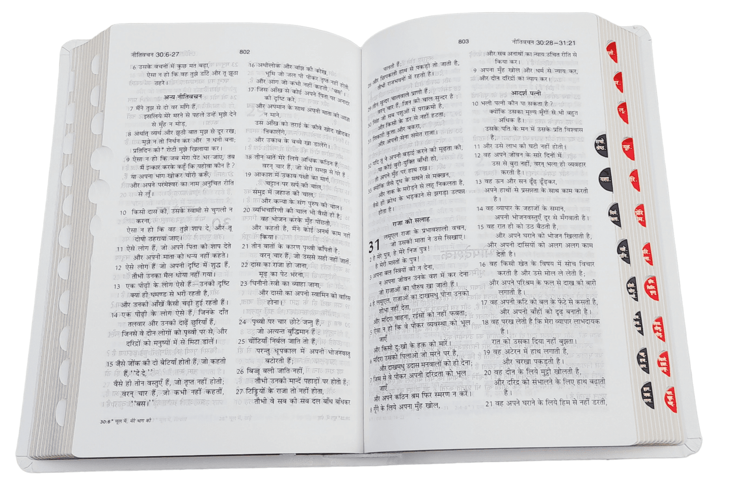 BSI Hindi Bible | In Multiple Color | With Thumb Index | Golden Edge | Amity Edition | New Edition