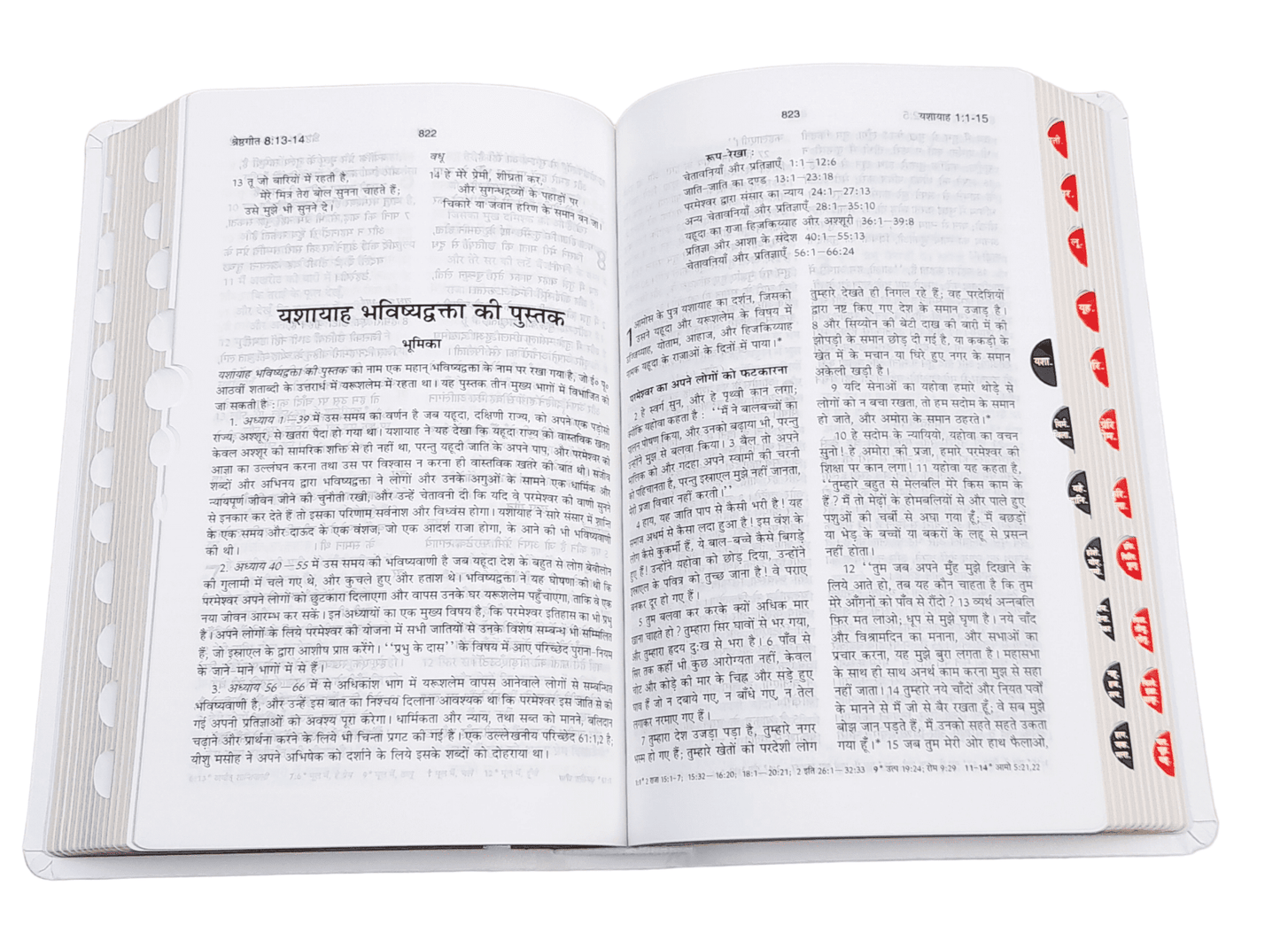 BSI Hindi Bible | In Multiple Color | With Thumb Index | Golden Edge | Amity Edition | New Edition