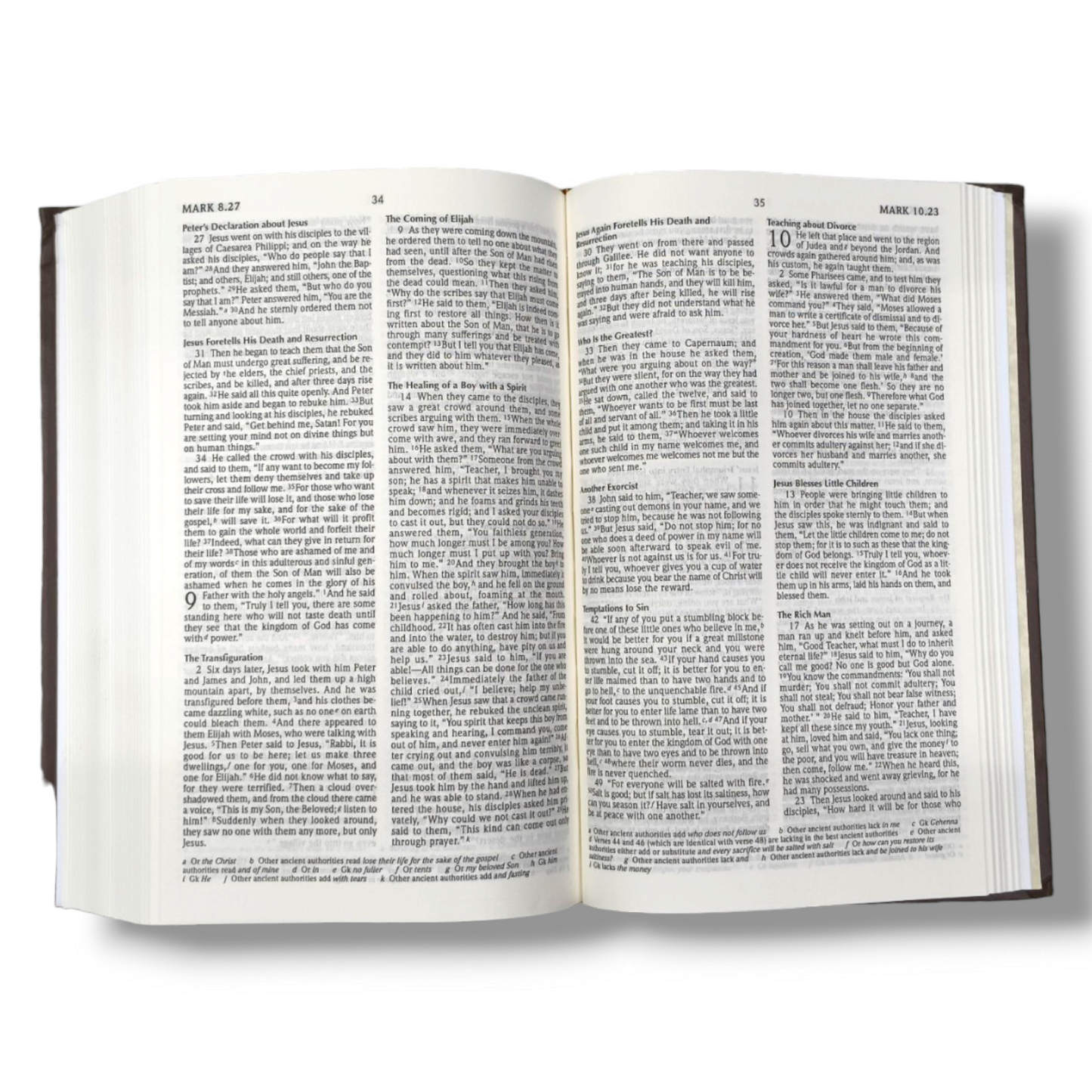 Holy Bible | With The Apocrypha | Hard Bound | New Edition