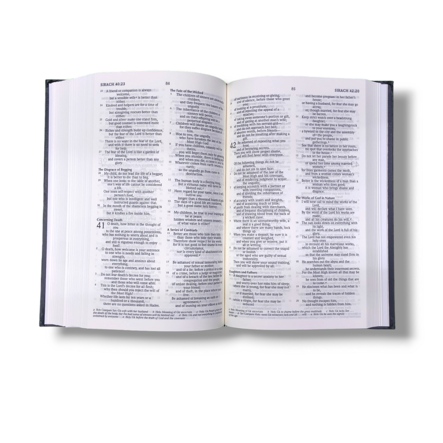 Holy Bible | New Edition | Black Hard Bound | With The Apocrypha | English Bible