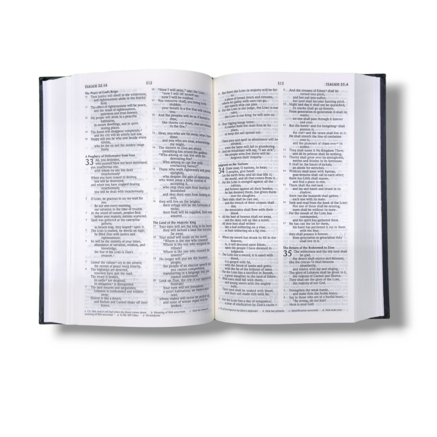 Holy Bible | New Edition | Black Hard Bound | With The Apocrypha | English Bible