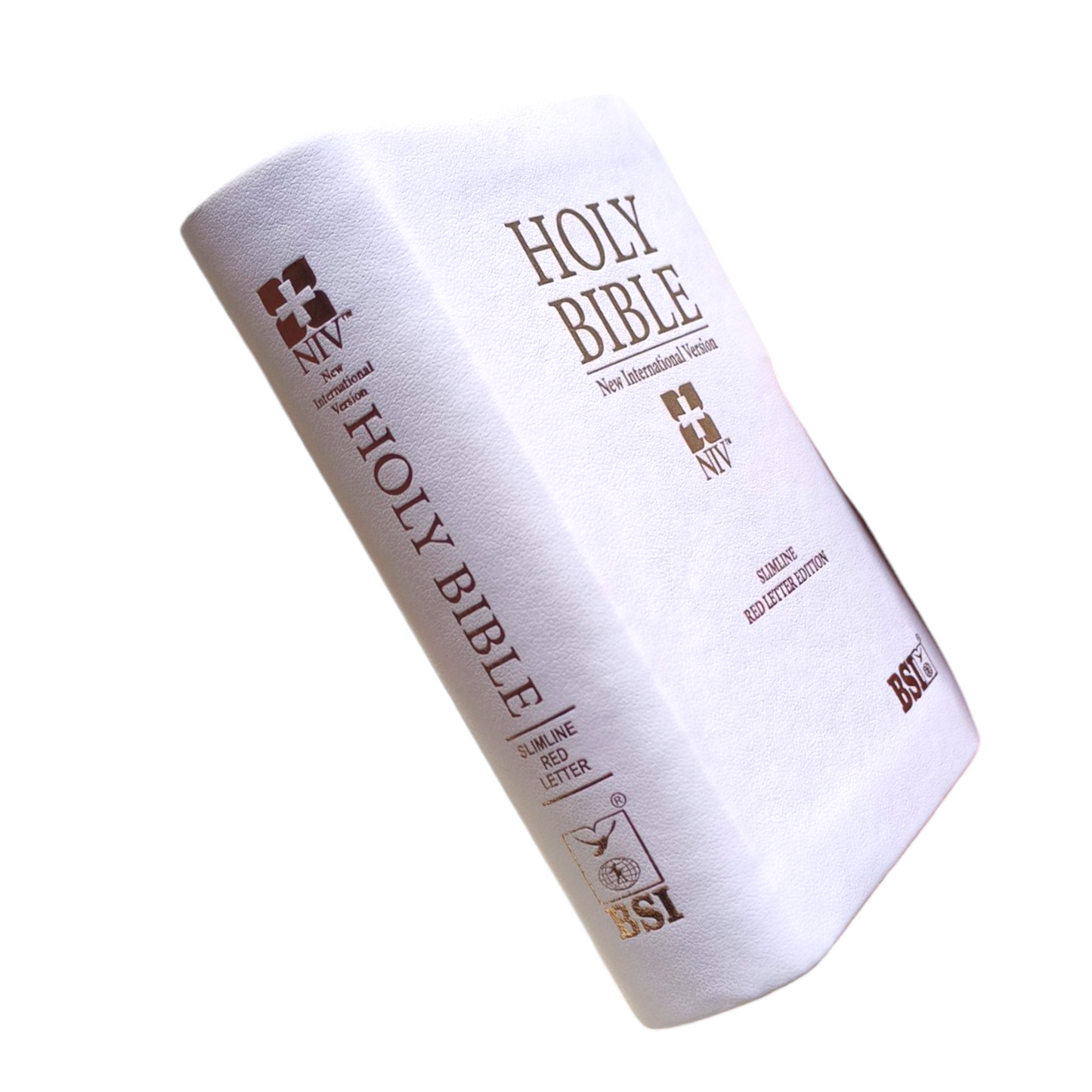 NIV Bible Slimline Bible | Red Letter In Side the Bible | Pocket Size Edition | In English | Golden Edge Bible | In Multiple Color