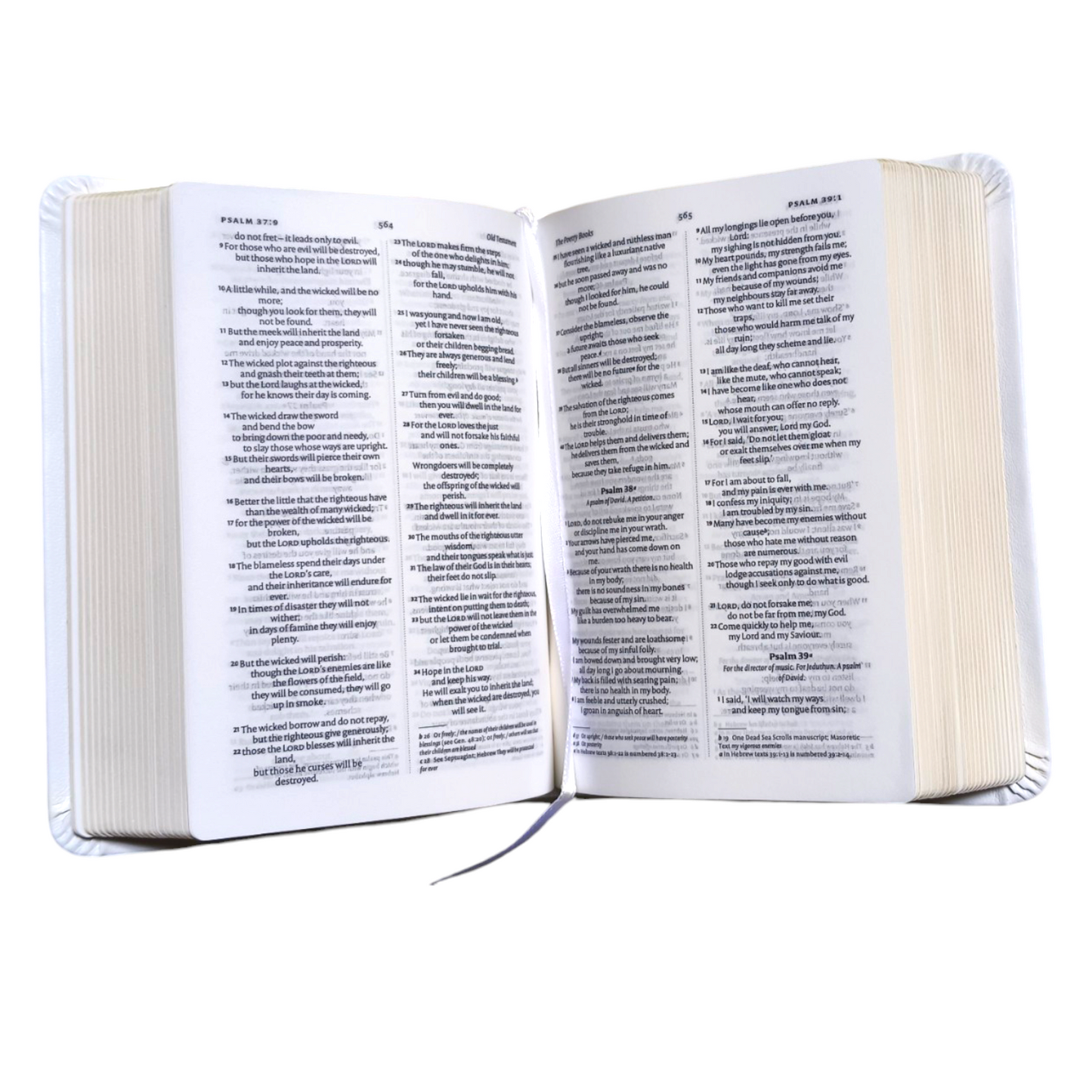 NIV Bible Slimline Bible | Red Letter In Side the Bible | Pocket Size Edition | In English | Golden Edge Bible | In Multiple Color