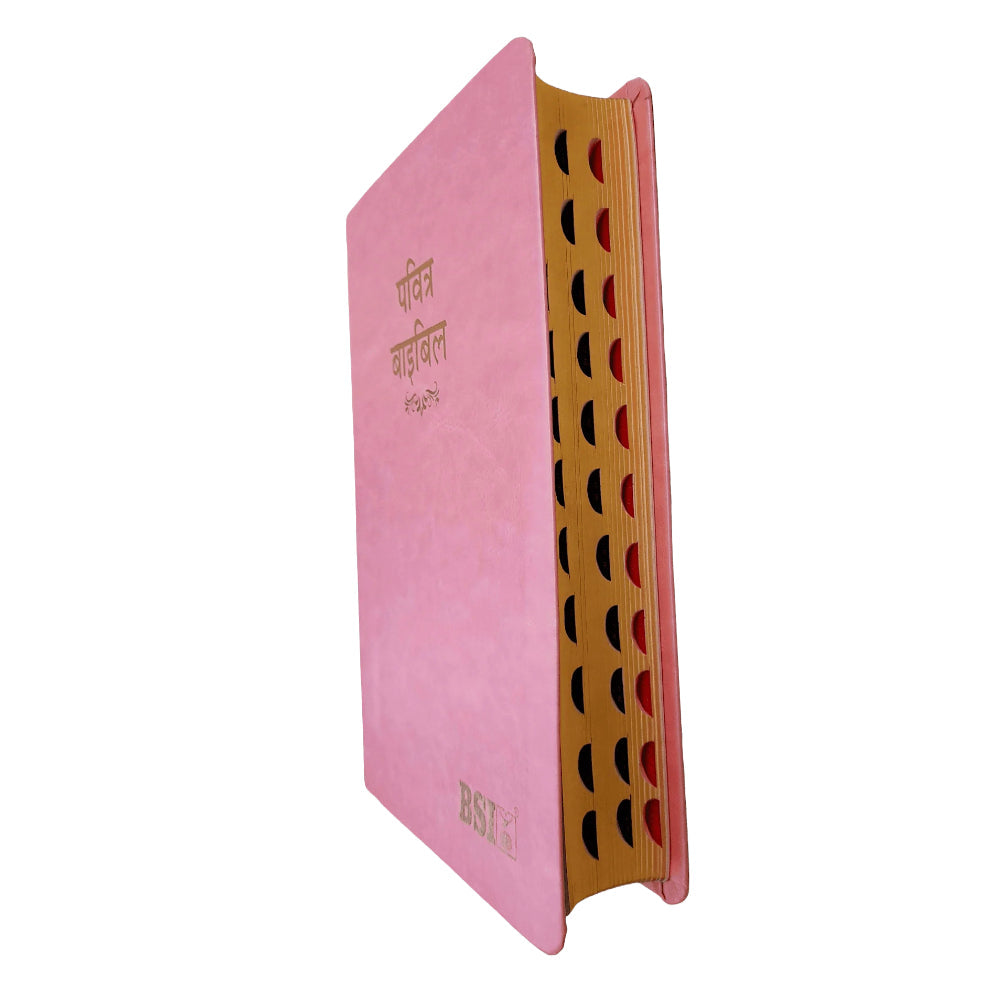 BSI Hindi Bible | In Multiple Color | With Thumb Index | Golden Edge | Amity Edition | New Edition