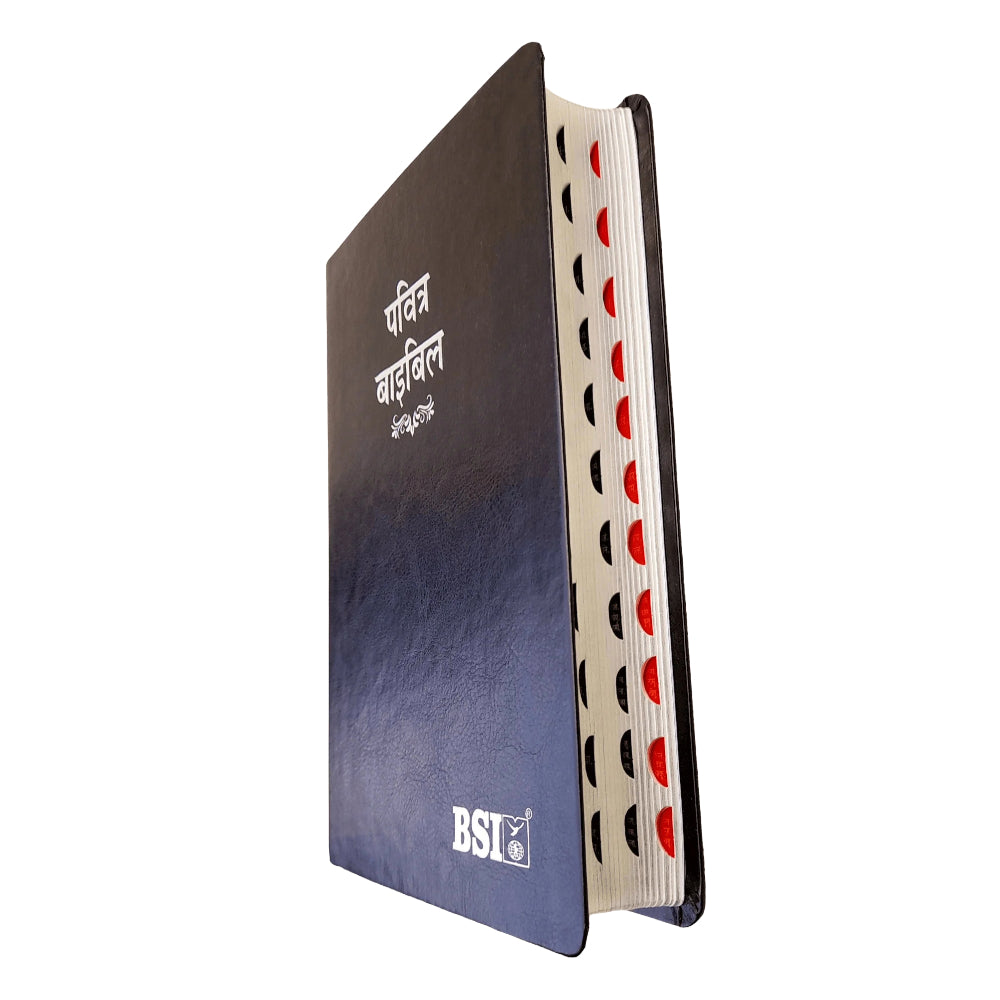 BSI Hindi Bible | In Multiple Color | With Thumb Index | Golden Edge | Amity Edition | New Edition