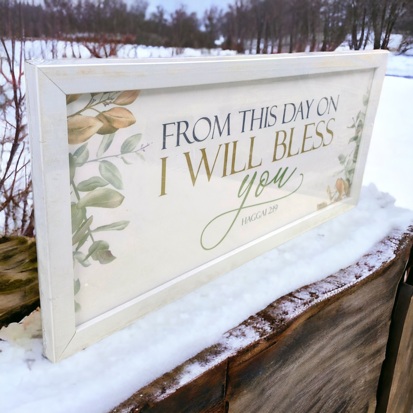 High Quality | Premium English Bible Verses Photo Frame | Hanging Frame | Best Gift For Home Decor | ( Haggai 2:19 ) ( Size : 20×14 Inch )