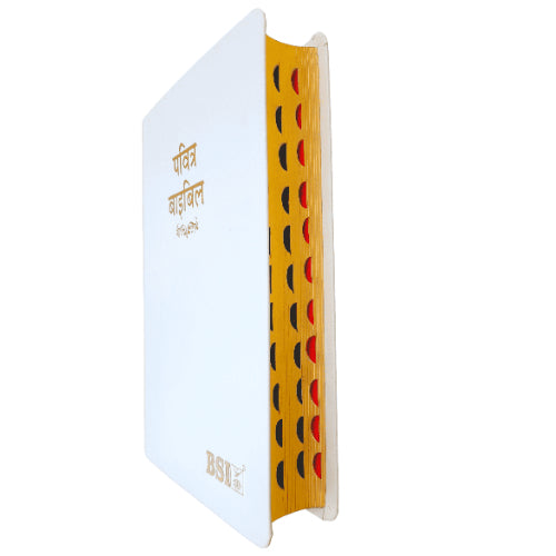 The Holy Hindi – 2023 PU Amity Index Bible | Best Index Hindi Bible | Hindi – O.V. PU Series (Amity) – White