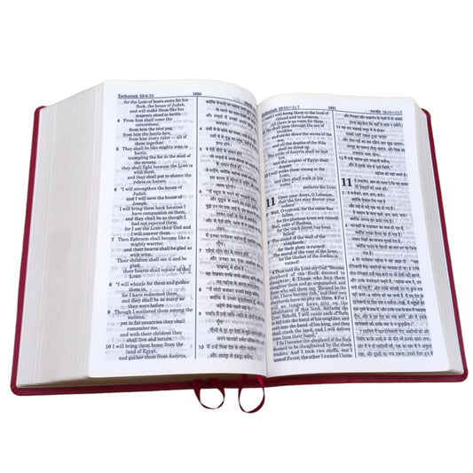 English Hindi Diglot Bible in Leather All In Color