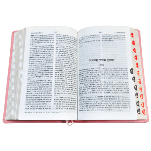 Hindi Bible | with Thumb Index | Pink Color Bound | Amity Edition | Golden Edge