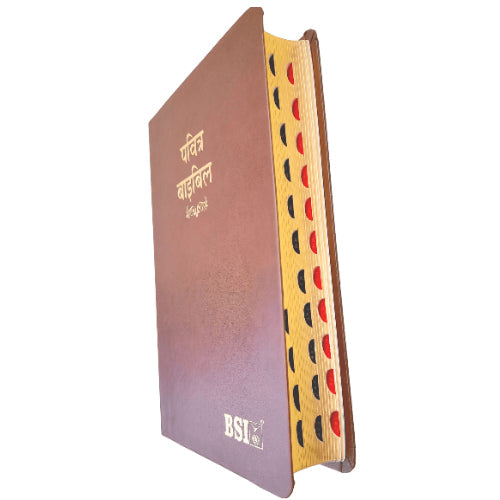 Hindi Bible | with Thumb Index | Brown Color Bound  | Amity Edition