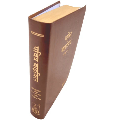 Hindi Bible | with Thumb Index | Brown Color Bound | Amity Edition