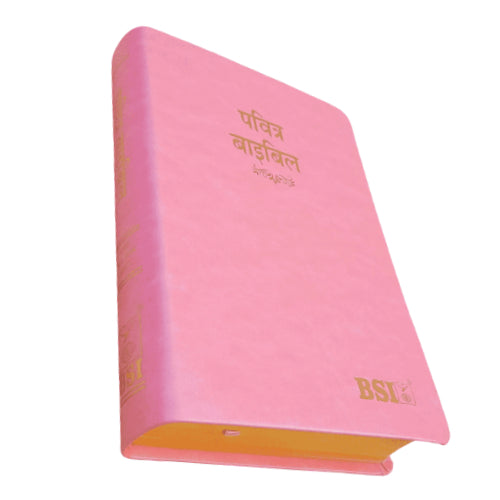 Hindi Bible | with Thumb Index | Pink Color Bound | Amity Edition | Golden Edge