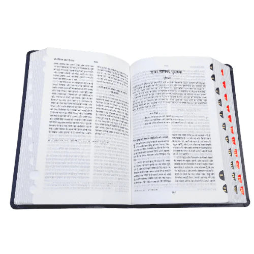 Hindi Bible | with Thumb Index | Brown Color Bound | Amity Edition