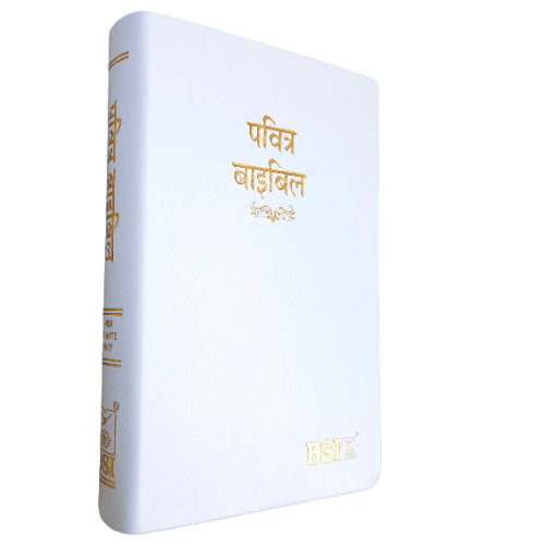 The Holy Hindi – 2023 PU Amity Index Bible | Best Index Hindi Bible | Hindi – O.V. PU Series (Amity) – White