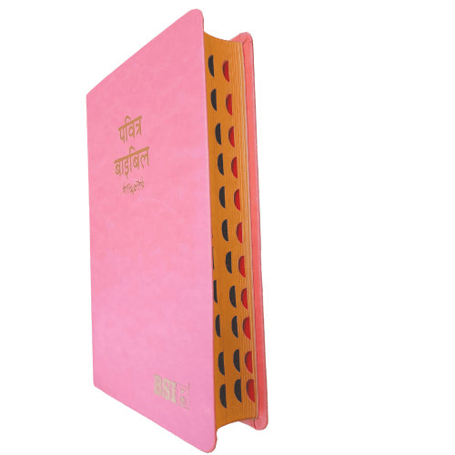 Hindi Bible | with Thumb Index | Pink Color Bound | Amity Edition | Golden Edge