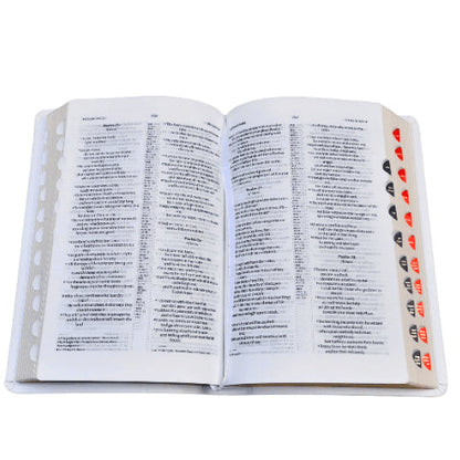 The Holy Hindi – 2023 PU Amity Index Bible | Best Index Hindi Bible | Hindi – O.V. PU Series (Amity) – White