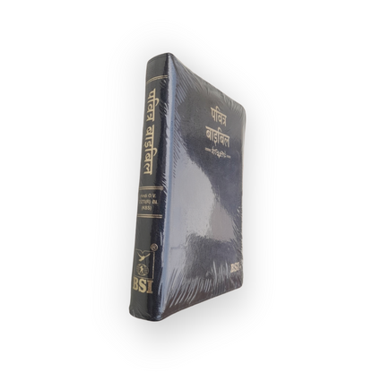 KBS Hindi Bible | With Thumb Index | Korean Printed Edition | In Black Color | With Zip