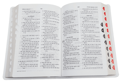 BSI Hindi Bible | In Multiple Color | With Thumb Index | Golden Edge | Amity Edition | New Edition