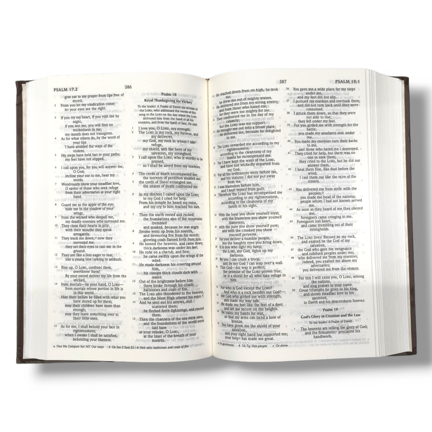 Holy Bible | With The Apocrypha | Hard Bound | New Edition