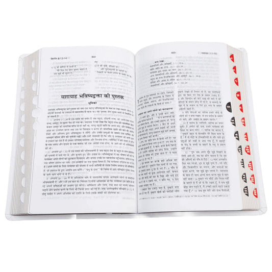 BSI Hindi Bible | In Multiple Color | With Thumb Index | Golden Edge | Amity Edition | New Edition