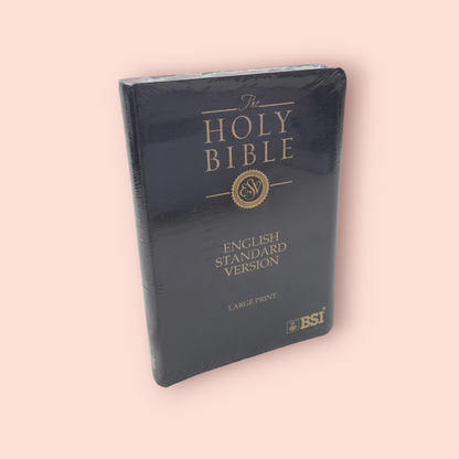 The Holy English Standard Version Bible Golden Edge Black Color Bound