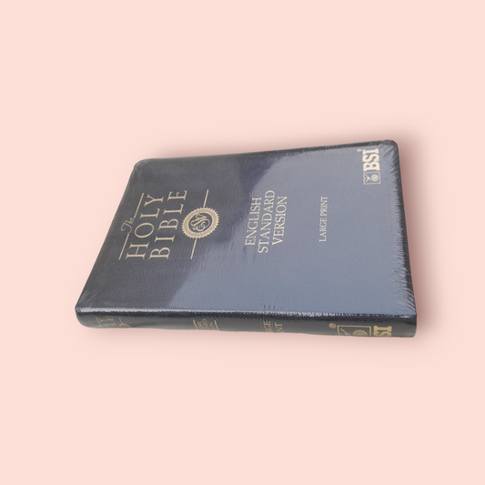 The Holy English Standard Version Bible Golden Edge Black Color Bound