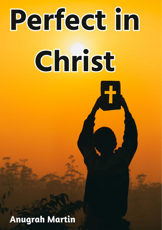 Perfect in Christ (E-book)