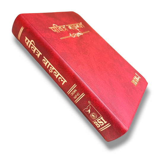 Holy Hindi Bible | Crown Size Edition | Maroon Color Bound | With Golden Edge | Attractive Bound Edition | New Edition
