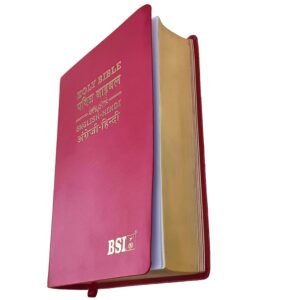 English Hindi Diglot Bible in Leather All In Color
