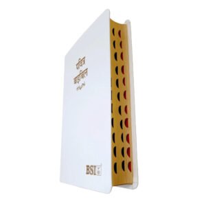 BSI Hindi Bible | In Multiple Color | With Thumb Index | Golden Edge | Amity Edition | New Edition