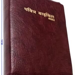 holy bible hindi – small size with index | portable hindi bible for daily reading, prayer, worship and christian gifting