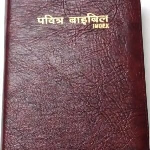 holy bible in hindi – small size pocket bible with index | portable hindi christian scripture book for daily reading, prayer and gifting
