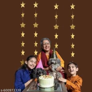 golden star paper wall hanging frill pack of 4 | christmas decoration 2026 | church, home & party decor
